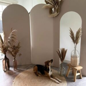 Leuke backdrops ,  diverse kleuren, maten en vormen verkrijgbaar in multiplex